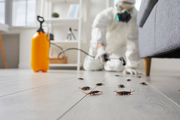 Commercial Kitchen Cockroach Control in Ebensburg